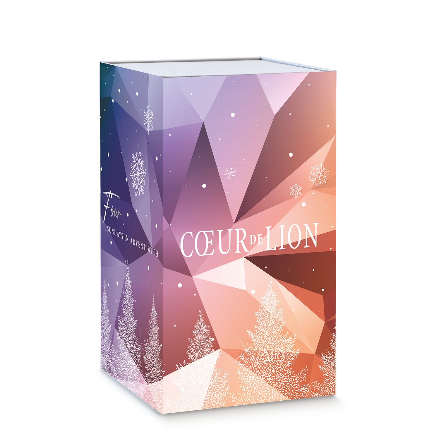 Adventskalender Classic Multicolor Winter silber