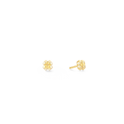 STATEMENT Collection Spike Square Ohrringe 6 mm gold von COEUR DE LION