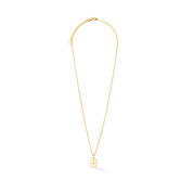 SIGNATURE Collection Halskette gold von COEUR DE LION